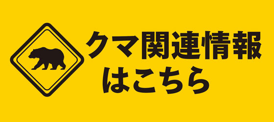 クマ関連情報